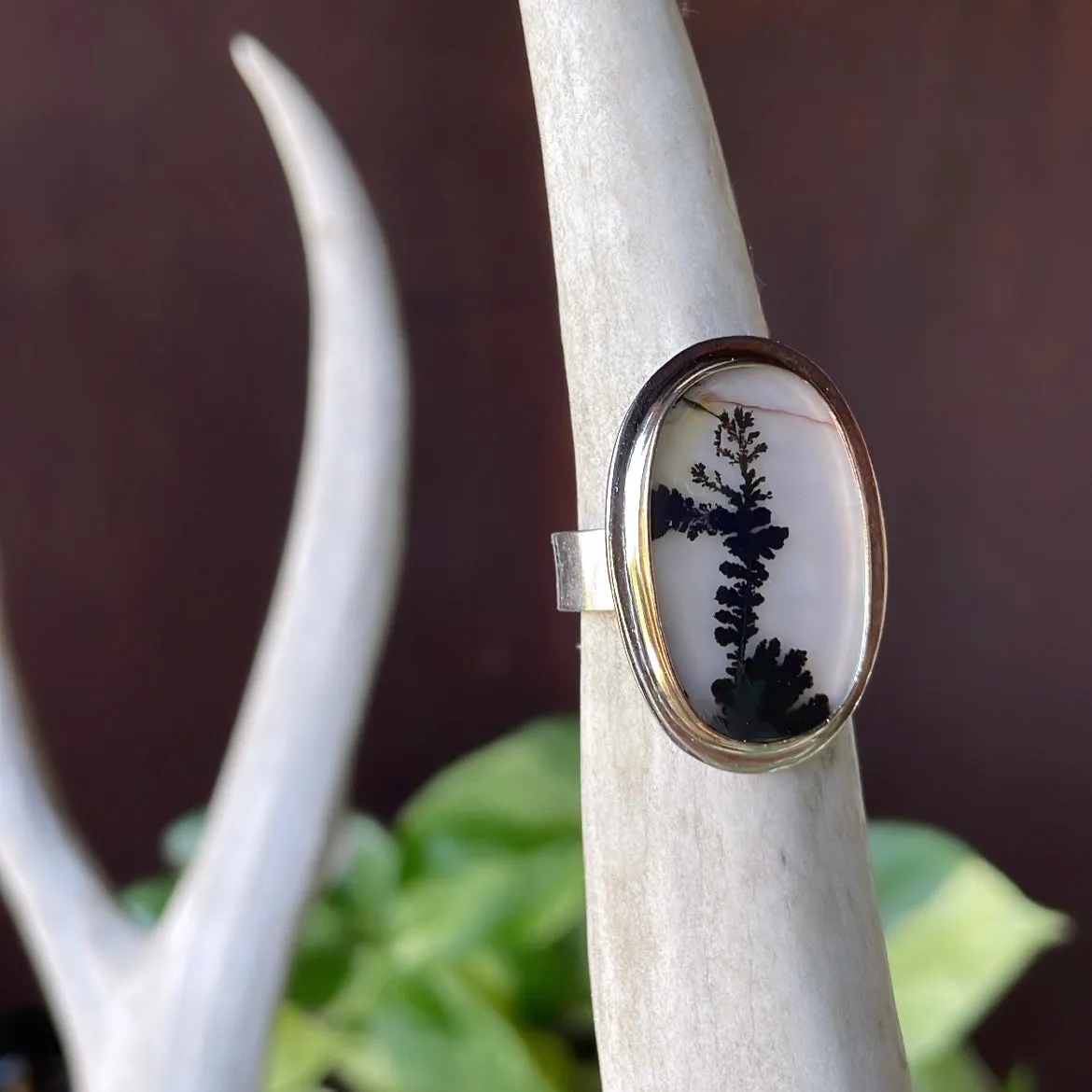 Century Ring