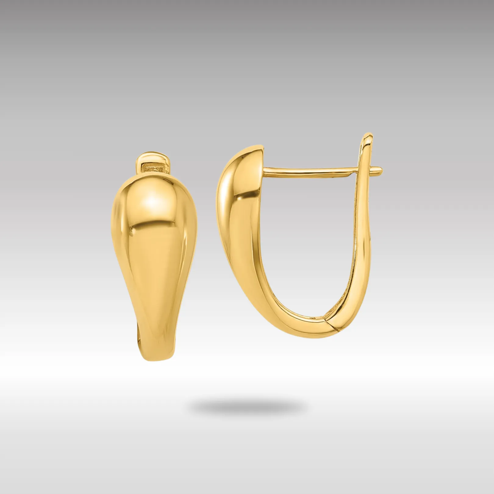 Gold Polished Hinged Earrings - Model TF2282