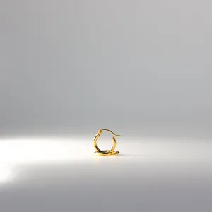 Small Gold Huggie Hoop Earrings 13MM Width Model-ER143